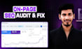do a complete on page SEO audit and optimization