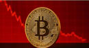 develop crypto trading bot, dex arbitrage bot, triangular arbitrage bot
