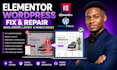 fix elementor wordpress bugs, errors, broken layouts and mobile issues