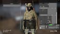 develop custom dayz mods, scripts custom weapons for dayz server