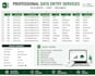 do accurate data entry and excel data entry
