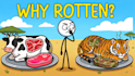 create stickman 2d animated videos for youtube