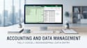 tally accounting and excel data entry