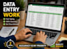 do accurate data entry, PDF to excel in 2 hours
