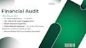 do financial statement audit