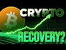 trace crypto transactions and analyze blockchain wallets