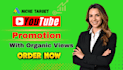 do youtube promotion for organic views