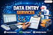 do accurate data entry and copypaste and excel work