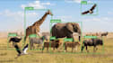 do accurate ai data labeling and annotation