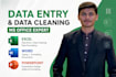 do excel data entry, data cleaning and formatting