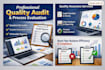 performing a detailed quality audit and process evaluation for your business
