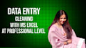 data entry and data cleaning