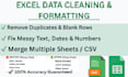 be your expert for excel data cleaning and formatting