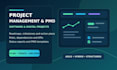 manage software projects as a pm or pmo