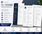 create a professional CV and resume