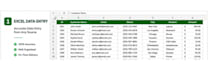 do accurate excel data entry and data cleaning