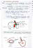 create anatomy study notes for medicine students
