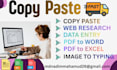 do professional copy paste work and excel data entry