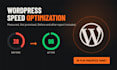 speed up your wordpress website with before and after pagespeed report