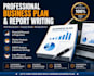 write professional business plans and feasibility reports