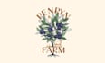 design blueberry farm logo for local farm