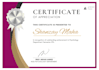 design professional certificates and infographics