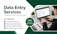 do professional data entry and online web data input