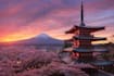 plan your dream trip with personalized travel advice