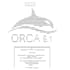 perform dft geometry optimization and frequency analysis using orca