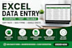 do accurate excel data entry and data cleaning