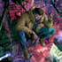 comic book illustration with comic book illustrator