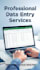 do fast and accurate data entry in excel and word