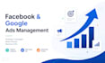 facebook ads campaign setup and  management