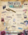 design aesthetic digital planner and printable templates in canva