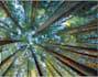 edit talking head videos only