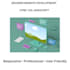 build 1 modern website using HTML CSS and javascript