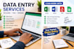do data entry copy paste and excel data entry