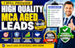 provide high quality mca aged leads 10 to 30 days old