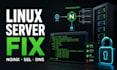 fix linux server nginx SSL dns and deployment issues