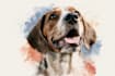 draw watercolor pet portrait