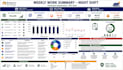 create a professional excel dashboard with charts, kpis and data analysis
