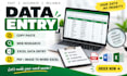 do accurate data entry, copy paste, web research and excel data entry