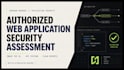 perform an authorized web application security assessment