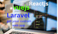 fix and develop PHP, laravel, vue js, react js website
