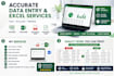 do accurate data entry, excel, copy paste and PDF conversion