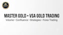 provide my profitable vsa based gold trading system