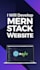 build mern stack website