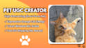 create high converting ugc pet videos for your cat brand