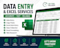 provide accurate data entry and excel services