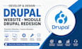 develop and design drupal website module drupal redesign